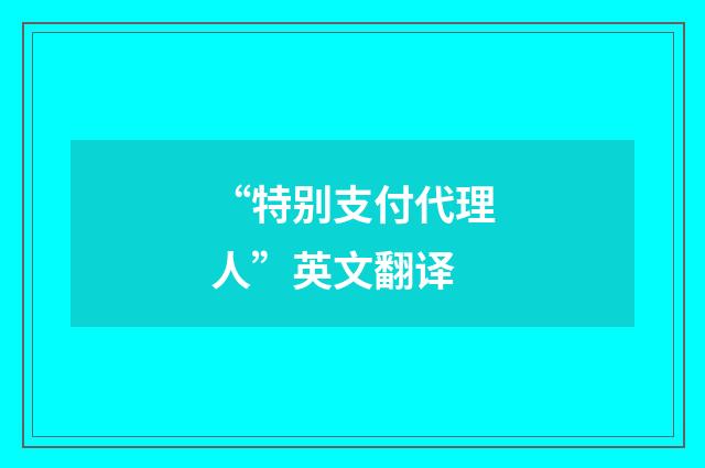 “特别支付代理人”英文翻译