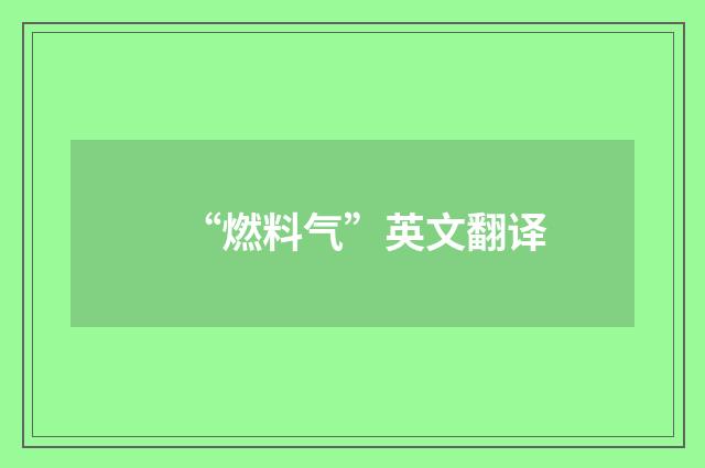 “燃料气”英文翻译
