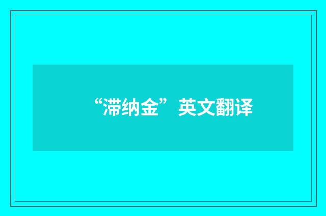 “滞纳金”英文翻译