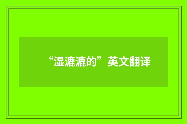 “湿漉漉的”英文翻译