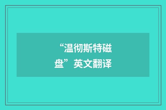 “温彻斯特磁盘”英文翻译