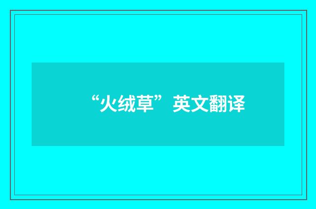 “火绒草”英文翻译