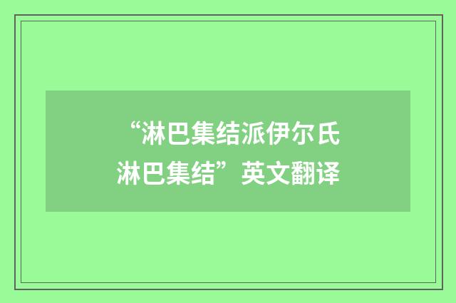 “淋巴集结派伊尔氏淋巴集结”英文翻译