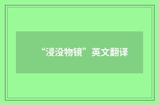 “浸没物镜”英文翻译