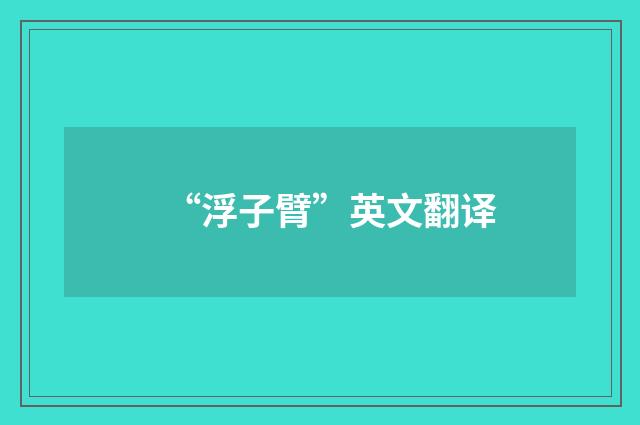 “浮子臂”英文翻译