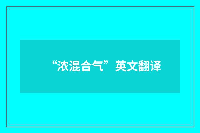 “浓混合气”英文翻译