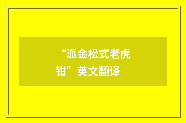 “派金松式老虎钳”英文翻译