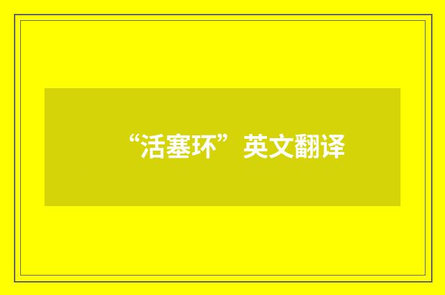 “活塞环”英文翻译