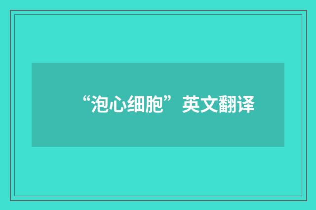 “泡心细胞”英文翻译