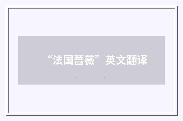 “法国蔷薇”英文翻译