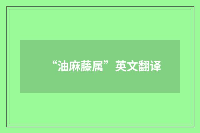 “油麻藤属”英文翻译