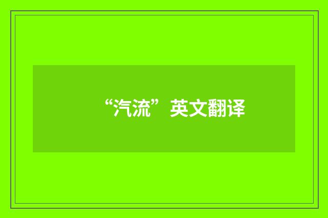 “汽流”英文翻译