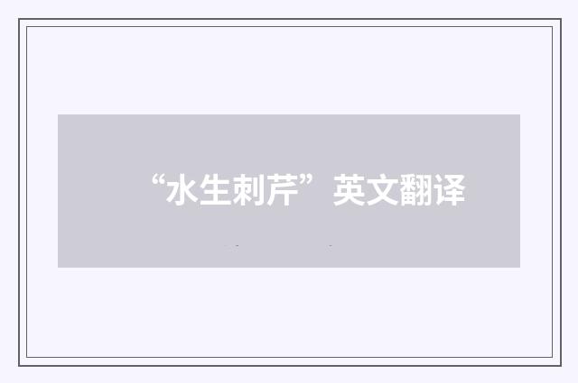 “水生刺芹”英文翻译