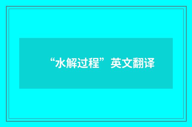 “水解过程”英文翻译