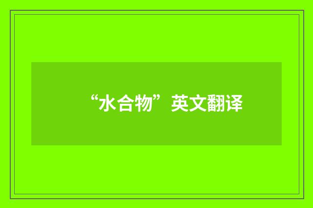 “水合物”英文翻译