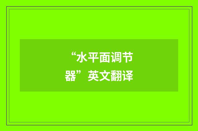 “水平面调节器”英文翻译