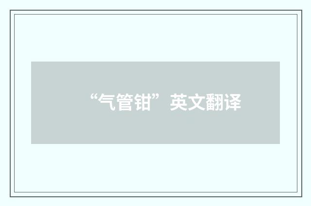 “气管钳”英文翻译