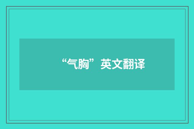 “气胸”英文翻译