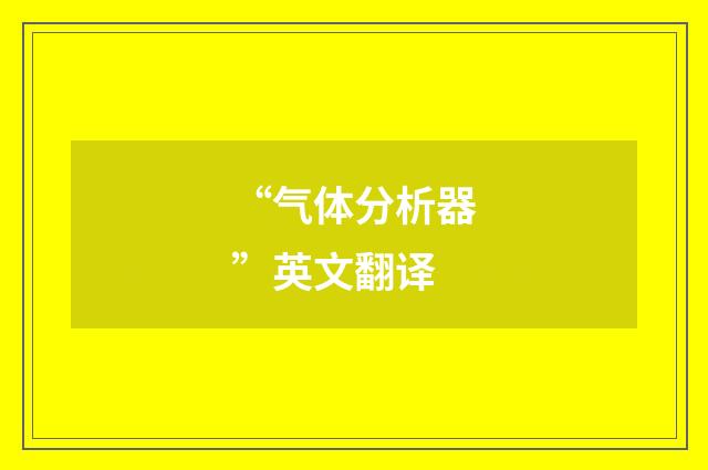 “气体分析器”英文翻译