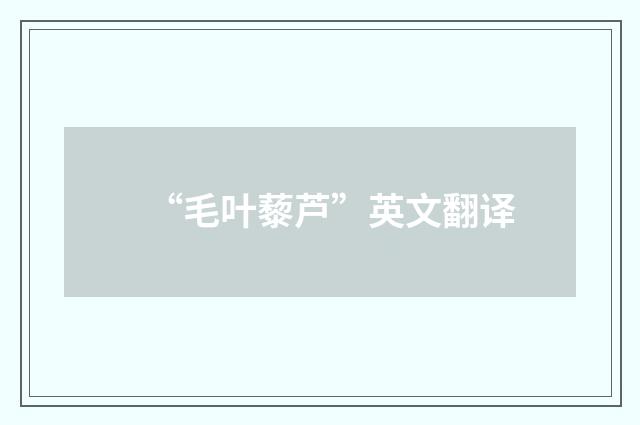 “毛叶藜芦”英文翻译