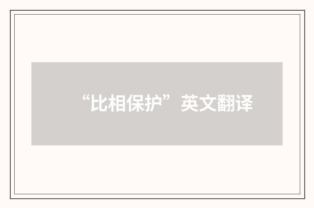 “比相保护”英文翻译
