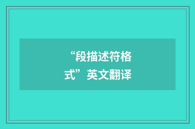 “段描述符格式”英文翻译