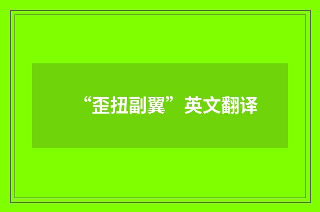 “歪扭副翼”英文翻译
