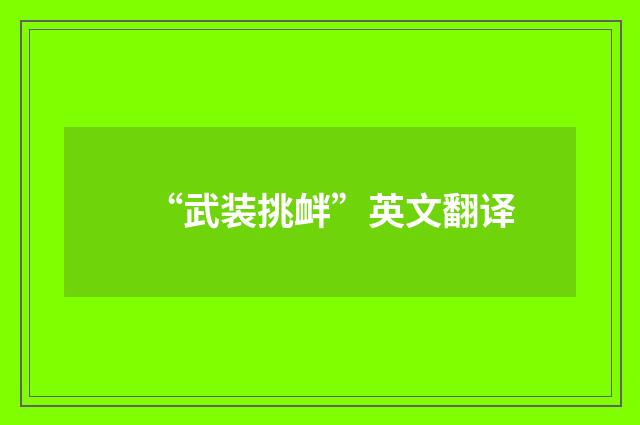 “武装挑衅”英文翻译