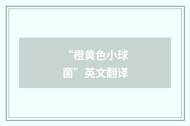 “橙黄色小球菌”英文翻译