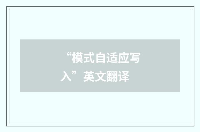 “模式自适应写入”英文翻译