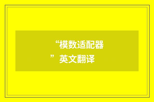 “模数适配器”英文翻译