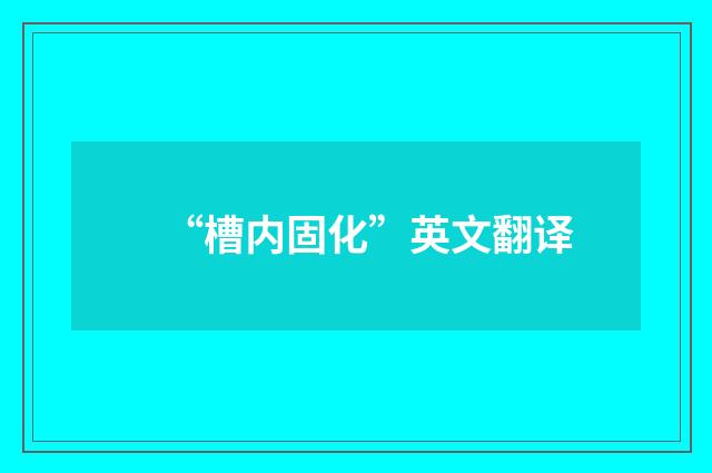 “槽内固化”英文翻译