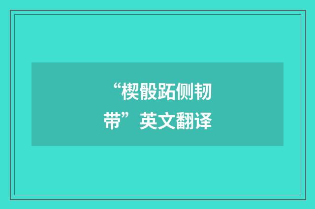 “楔骰跖侧韧带”英文翻译