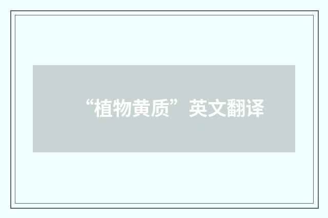 “植物黄质”英文翻译
