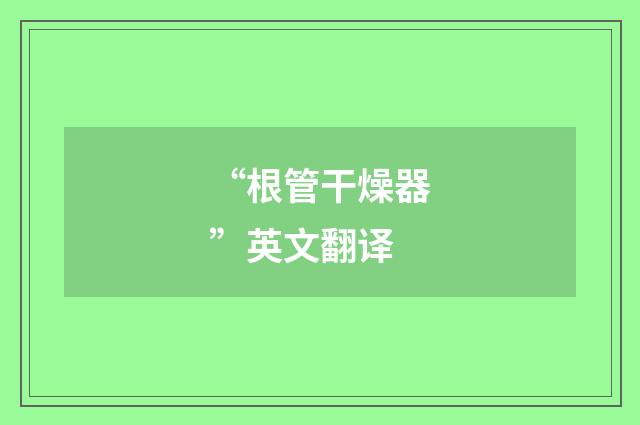 “根管干燥器”英文翻译