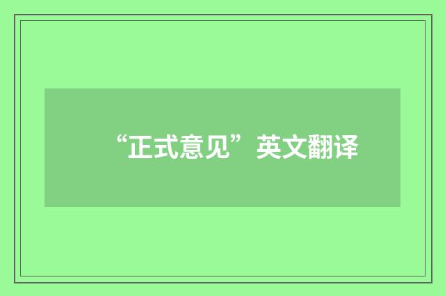 “正式意见”英文翻译