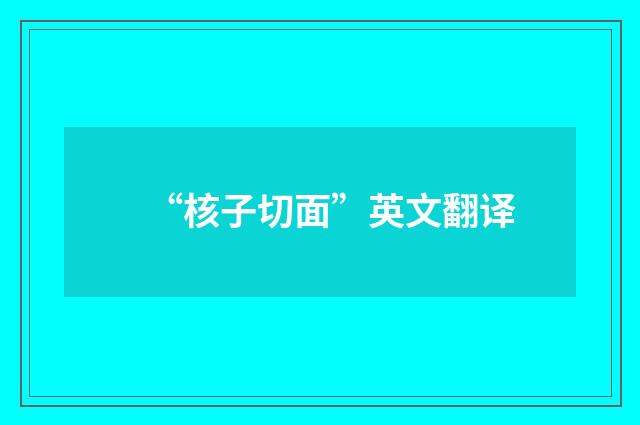 “核子切面”英文翻译
