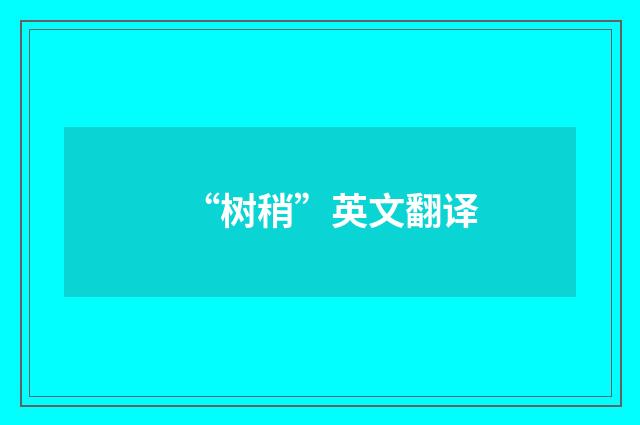 “树稍”英文翻译