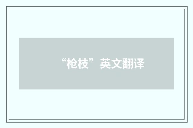 “枪枝”英文翻译