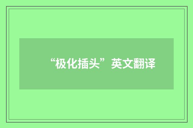 “极化插头”英文翻译