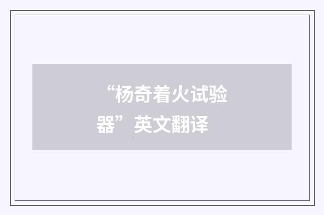 “杨奇着火试验器”英文翻译