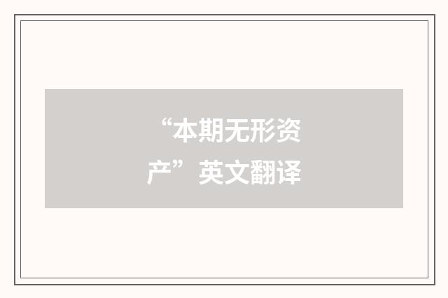 “本期无形资产”英文翻译