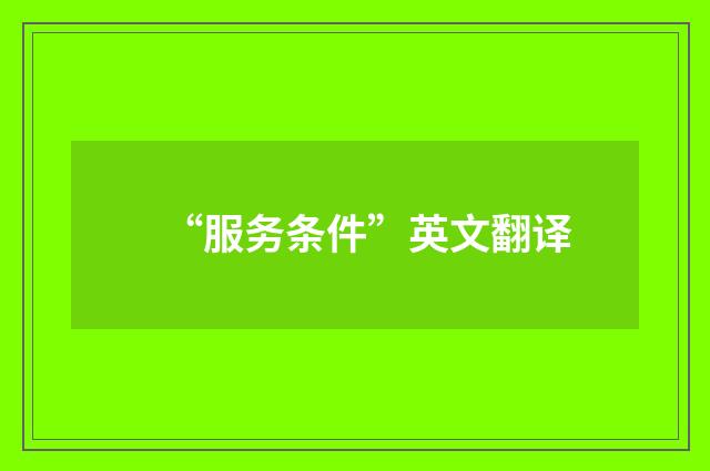 “服务条件”英文翻译