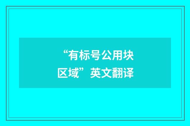 “有标号公用块区域”英文翻译