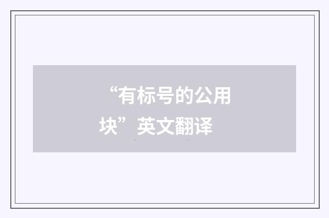 “有标号的公用块”英文翻译