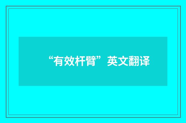 “有效杆臂”英文翻译