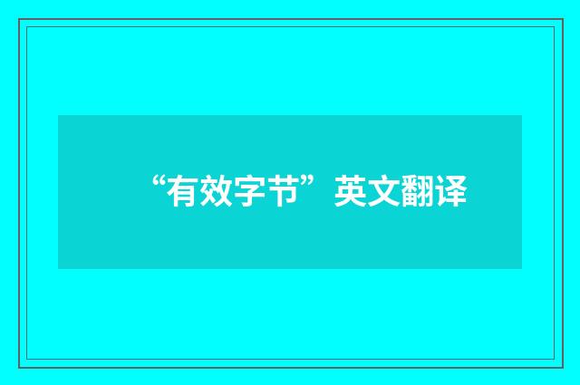 “有效字节”英文翻译