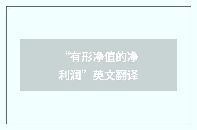“有形净值的净利润”英文翻译
