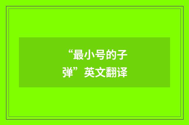 “最小号的子弹”英文翻译