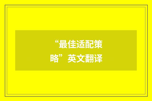 “最佳适配策略”英文翻译